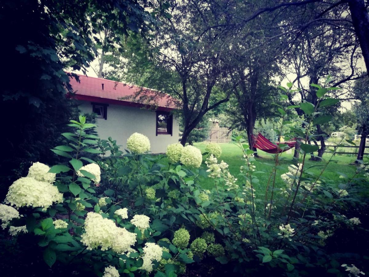 Babie Lato Villa Wlodarka ภายนอก รูปภาพ