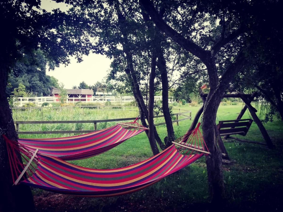Babie Lato Villa Wlodarka ภายนอก รูปภาพ