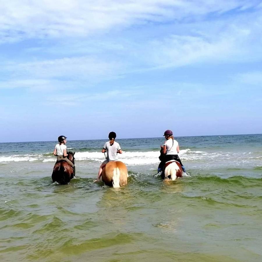 Babie Lato Villa Wlodarka ภายนอก รูปภาพ